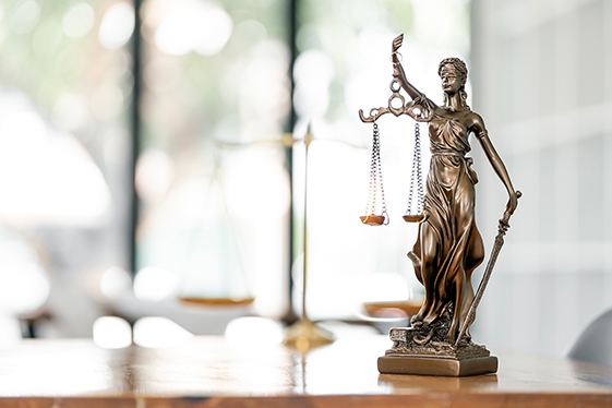 My1Brand – Legal Legal